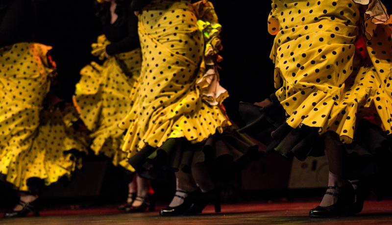 Fotos: Cante y baile para celebrar el Día de Andalucía en Bilbao