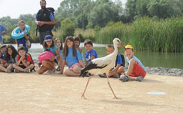 Unos niños disfrutan del uno de los programas vacacionales que se desarrollan en Ataria.