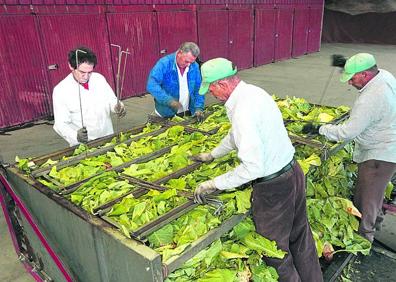 Imagen secundaria 1 - El tabaco la lía en Hacienda