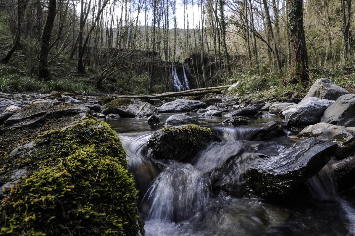 El Bolintxu nace en las laderas del Pagasarri y desemboca en el Ibaizabal a la altura de La Peña. 