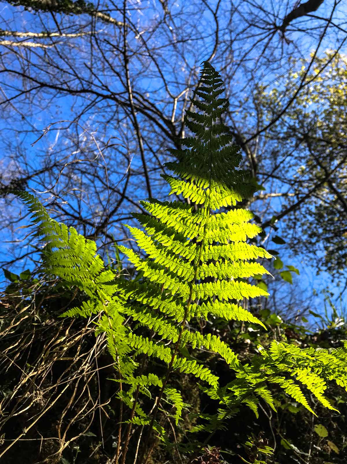 Sol y sombra en el idílico enclave bilbaíno.