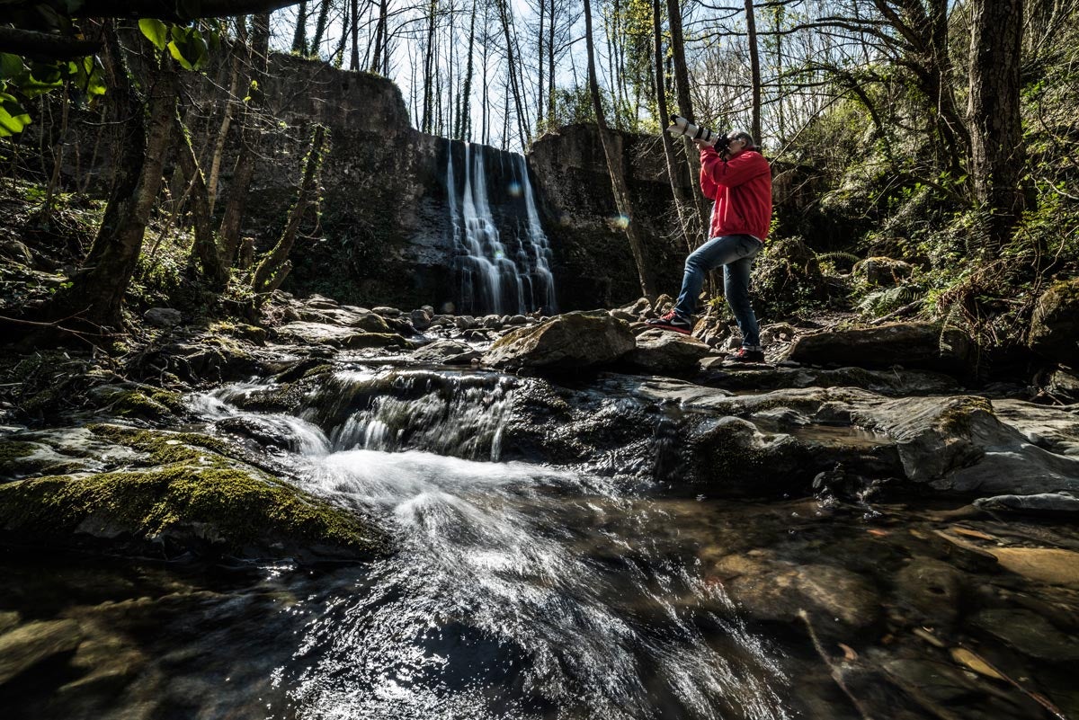 La luz entre la vegetación, un espectáculo.