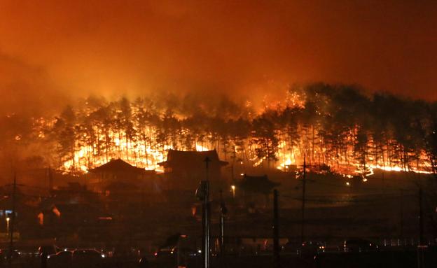 Un devastador incendio forestal arrasa más de 380 hectáreas en Corea del Sur