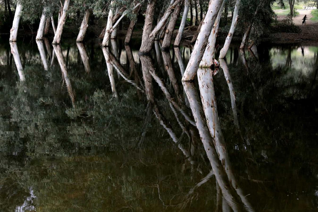 Lago Athalassas Park en Nicosia, Chipre