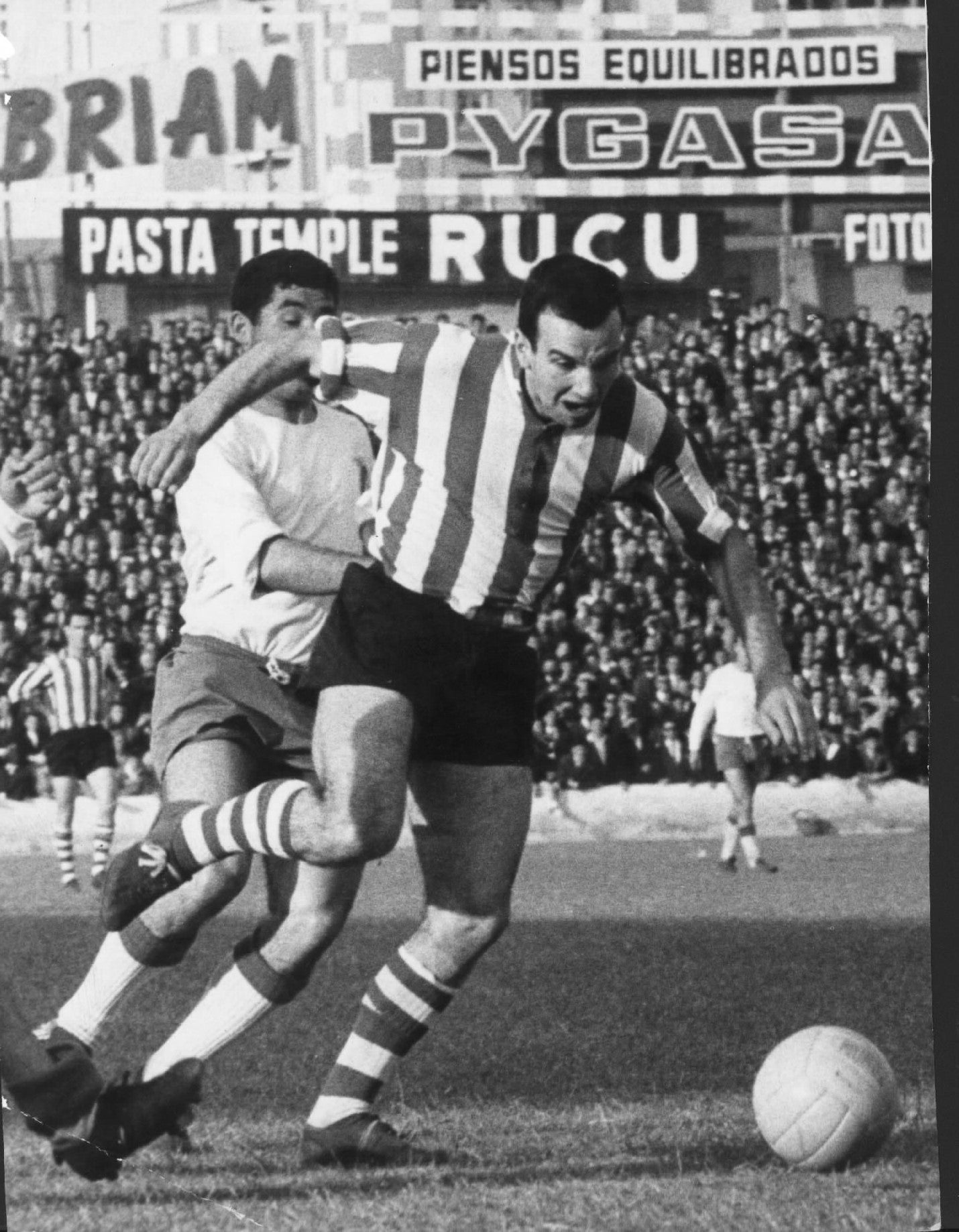 Koldo Aguirre (Sondika. 1939) fue un gran centrocampista que en sus buenos tiempos fue conocido en San Mamés como 'el fielato' porque todo el buen fútbol del Athletic pasaba obligatoriamente por sus botas. Es uno de los hombres que ha escrito la historia del club: jugador durante doce temporadas, entre 1957 y 1969; entrenador del inolvidable equipo que fue finalista de la UEFA y de la Copa del Rey en 1977; y coordinador de Lezama entre 1990 y 1994. 