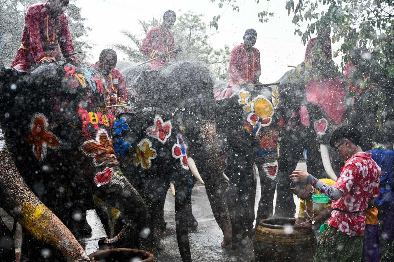 Un elefante tailandés rocía agua sobre una familia durante un evento previo a la celebración del Festival Songkran, también conocido como el Festival del Agua en la ciudad de Ayutthaya, Tailandia