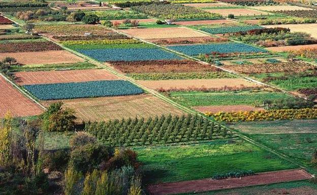 Vista del campo de Alcanadre, en La Rioja, donde vive el autor del libro.