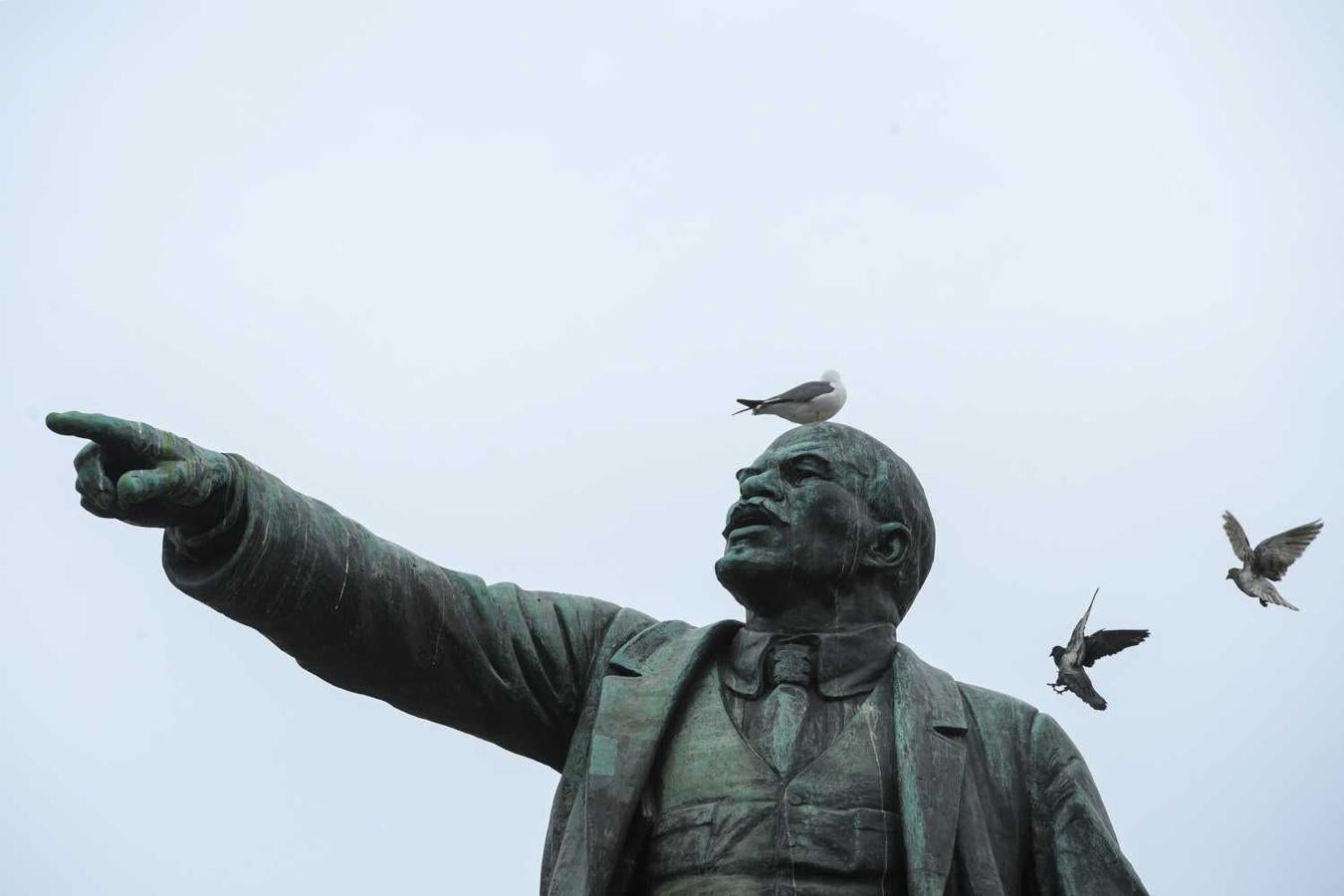 Una gaviota se posa sobre un monumento de Vladimir Lenin, en el puerto de Vladivostok, en el extremo oriental de Rusia