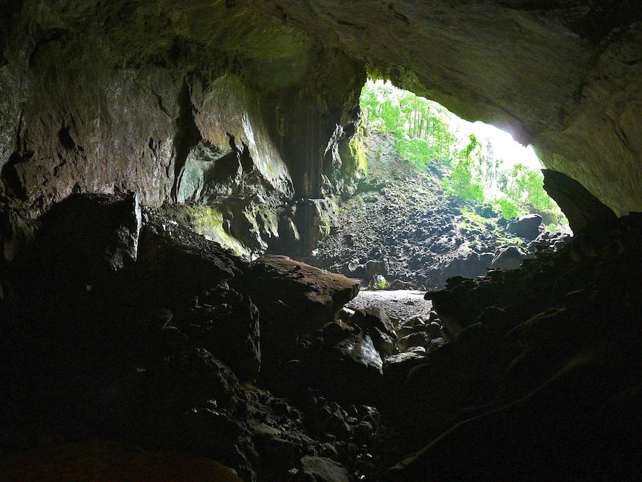 Parque Nacional de Gunung Mulu: el pasaje de caverna más grande del mundo (Cueva del Ciervo)
