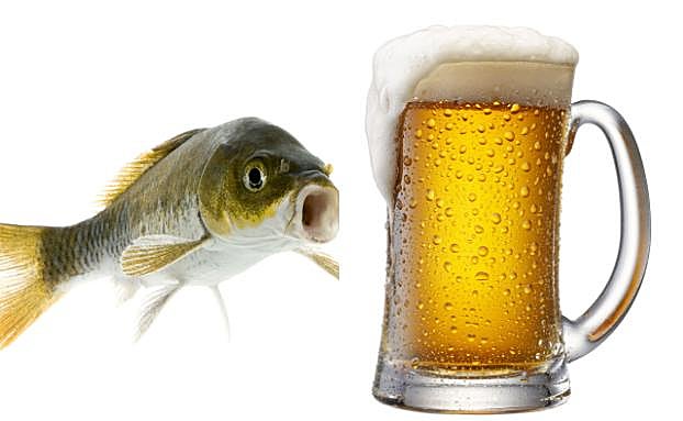 ¿Por qué es buena la cerveza para los peces?