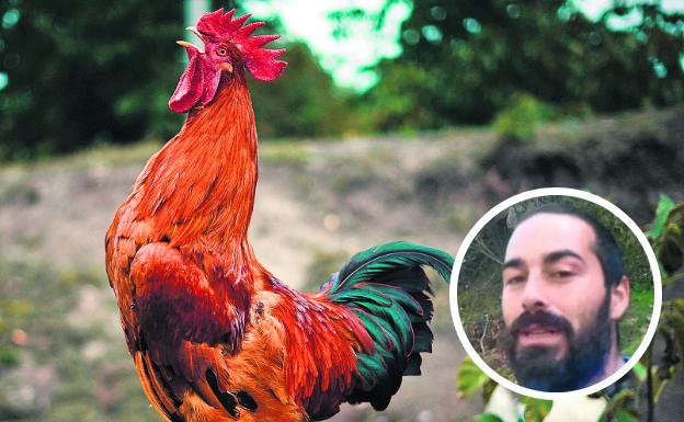 Denuncia. El pastor asturiano Nel Cañedo ha puesto el dedo en la llaga con sus quejas por el cierre de un gallinero para tener contento a un hotel rural.