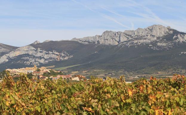 El Paisaje del Vino y del Viñedo aspira a convertirse en Patrimonio Mundial de la Unesco.