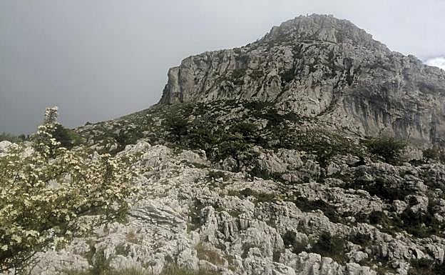 Lapiaz que rodea la cumbre del monte, superficie caliza formada de lascas afiladas. 
