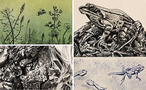 Una de las muestras que acoge la exposición.