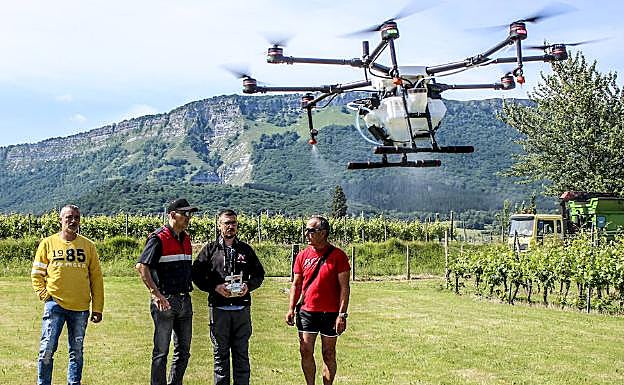 Los drones se usan cada vez más en tareas agrícolas para aplicar productos fitosanitarios, pero requieren una titulación específica. 