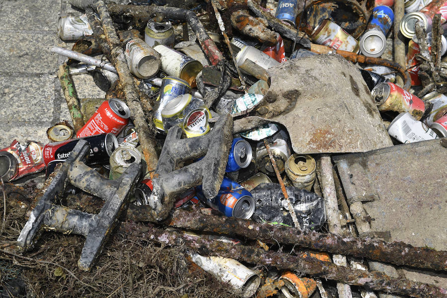 Fotos: Limpieza de basura en Urdaibai