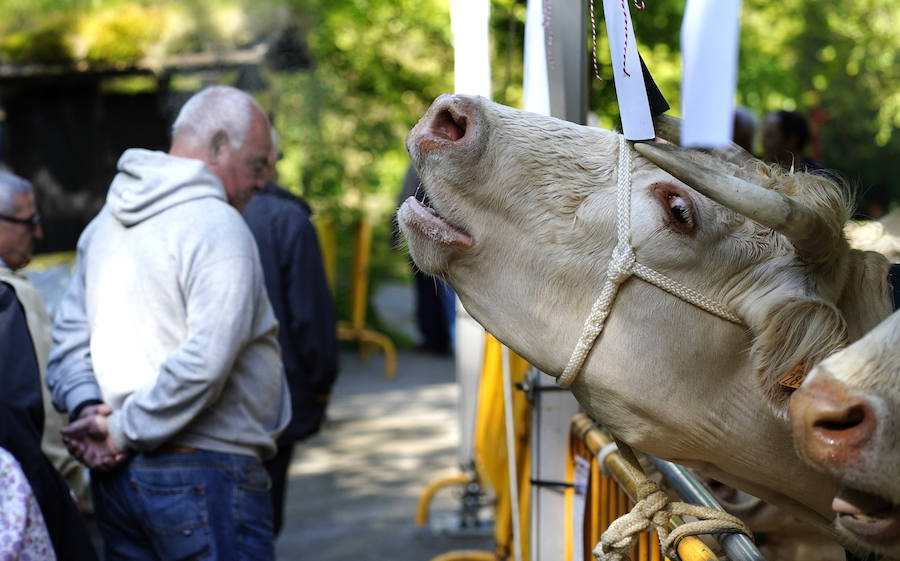 Más de un centenar de cabezas y 26 puestos agrícolas participan en el tradicional mercado