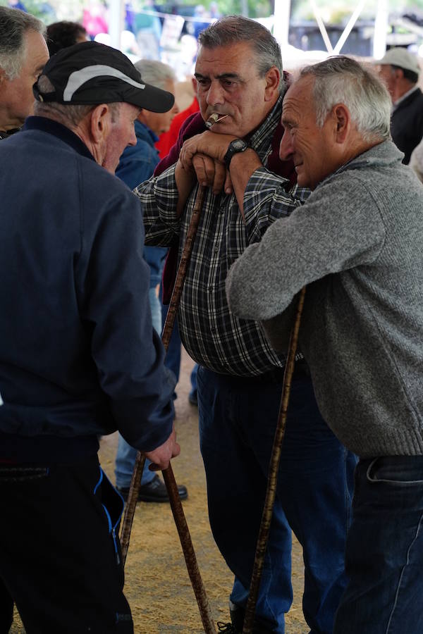 Más de un centenar de cabezas y 26 puestos agrícolas participan en el tradicional mercado