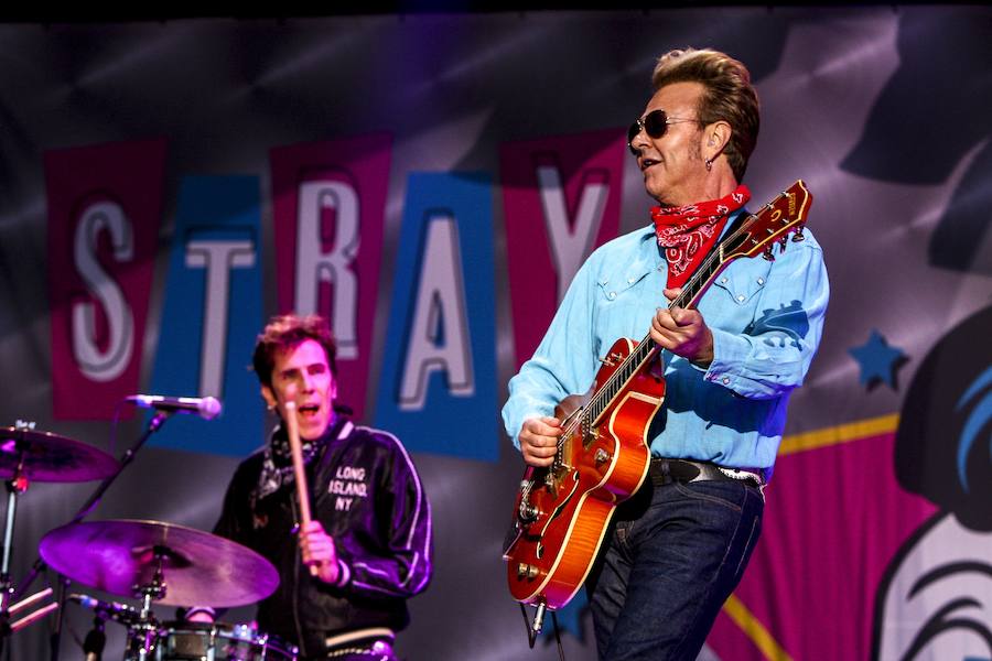 Fotos: The Stray Cats, la nueva vida de los gatos descarriados en Vitoria
