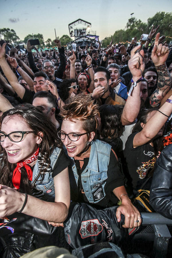 Fotos: The Stray Cats, la nueva vida de los gatos descarriados en Vitoria