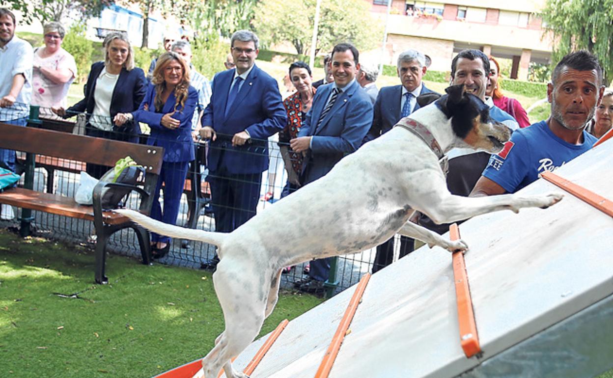 Un perro estrena la zona para que los canes realicen ejercicio en el nuevo parque. 