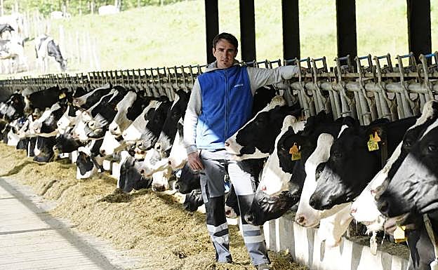 Arkaitz Biritxinaga, junto a las vacas lecheras de su granja en Berriz.