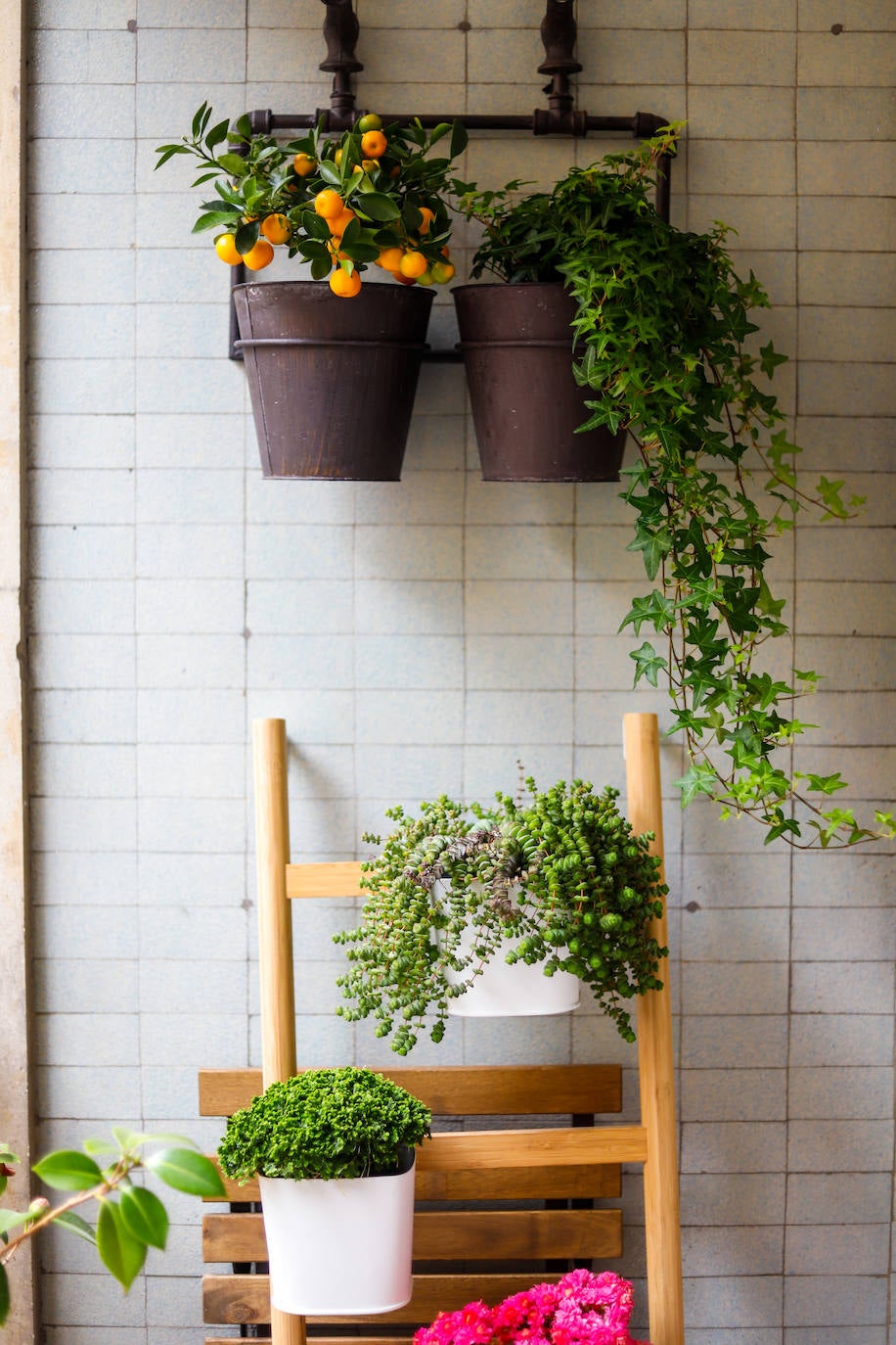 Decoración en la terraza de Sophe García