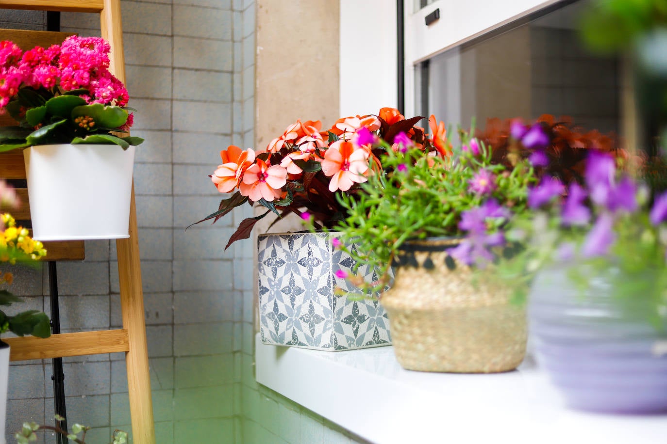 Detalle de los tiestos de Sophe García