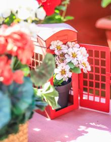 Imagen secundaria 2 - Elsa Lascaray y su terraza llena de geranios