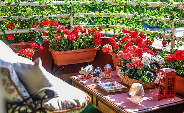 Imagen principal - Elsa Lascaray y su terraza llena de geranios