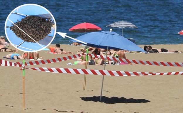 Retiran un enjambre de abejas de una sombrilla en la playa de Ereaga