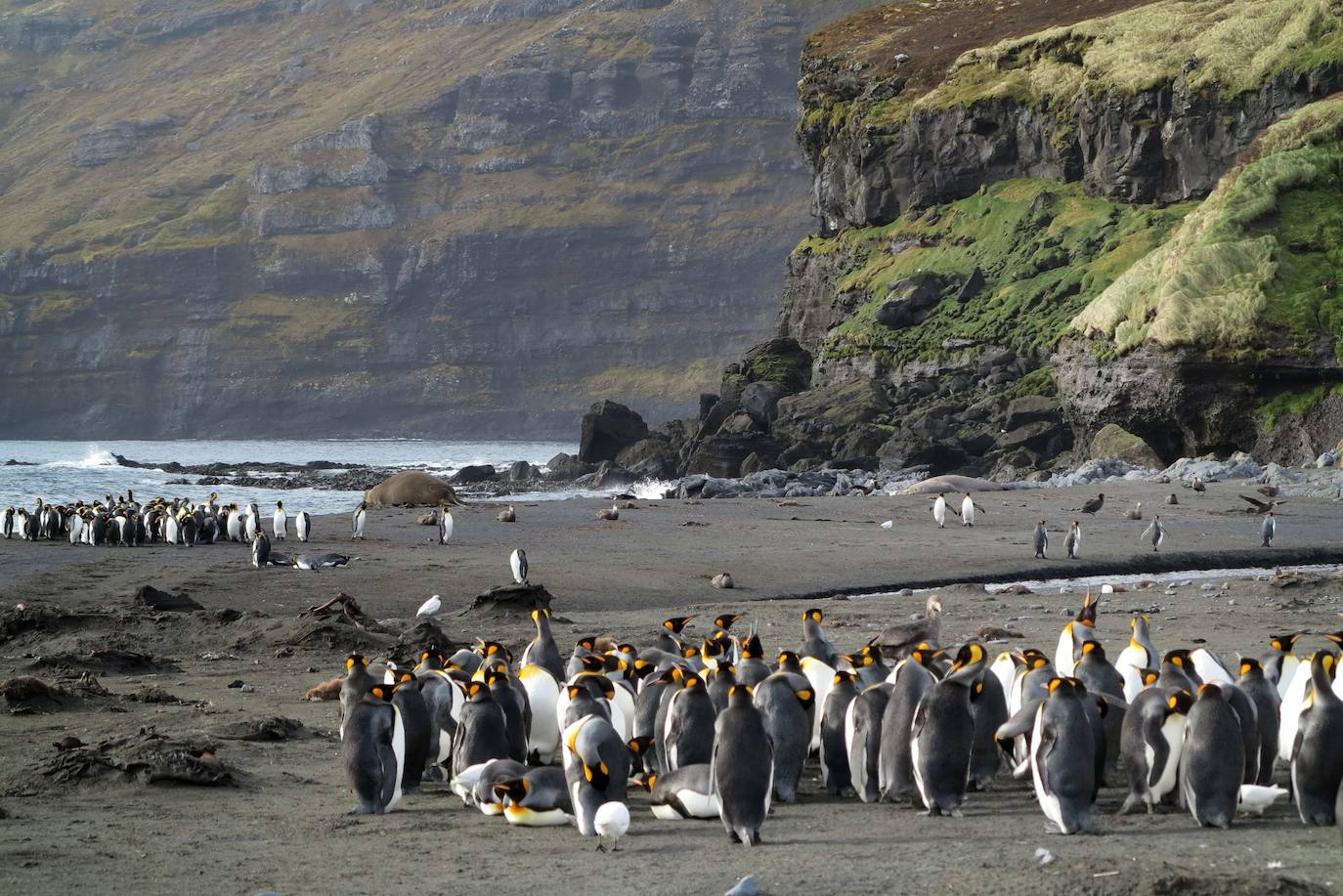 Tierras y mares australes franceses. Situados en el oceáno Austral que rodea la Antártida, este sitio que ya forma parte de la lista de Patrimonio Mundial de la Unesco incluye el archipiélago de Crozet, las islas Kerguelen, las islas de Saint-Paul y Nueva Amsterdam y sesenta islotes. Constituyen una de las mayores áreas marinas protegidas del mundo y tiene una superficie de casi 673.000 km2. Son un remanso de paz para una gran cantidad de mamíferos marinos y aves, entre los que destaca el pingüino rey.