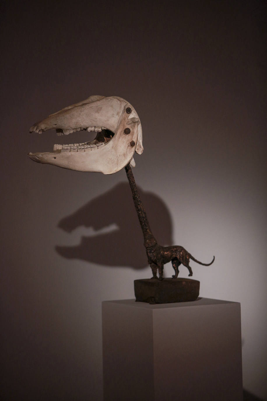 Fotos: &#039;VI-siones&#039;, un diálogo entre cuatro artistas vitorianos de generaciones y estilos diferentes