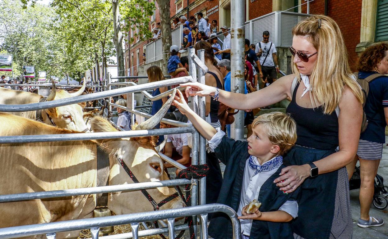 Una madre y su hijo tocan una charolesa. 