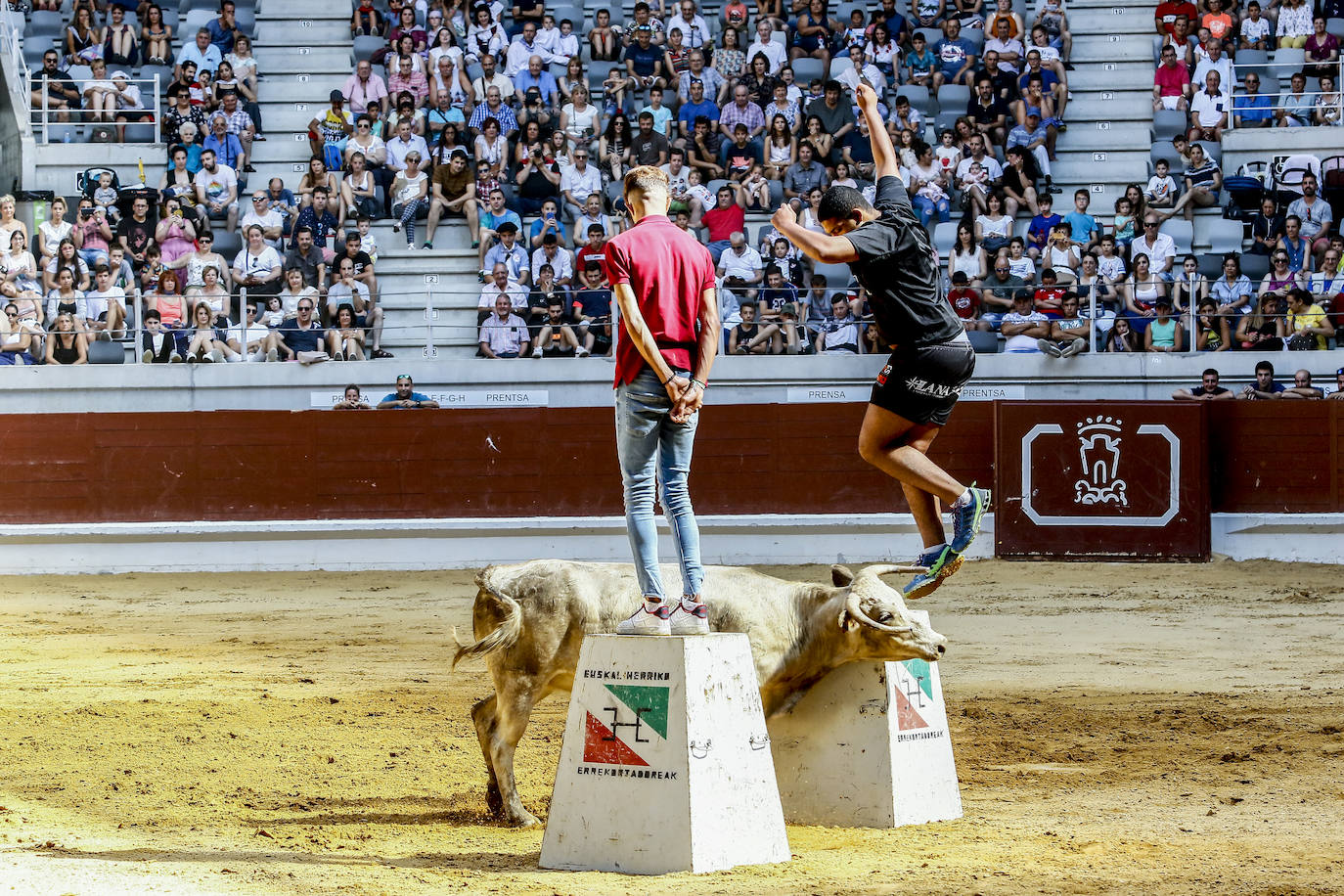 Fotos: A vueltas con las vaquillas