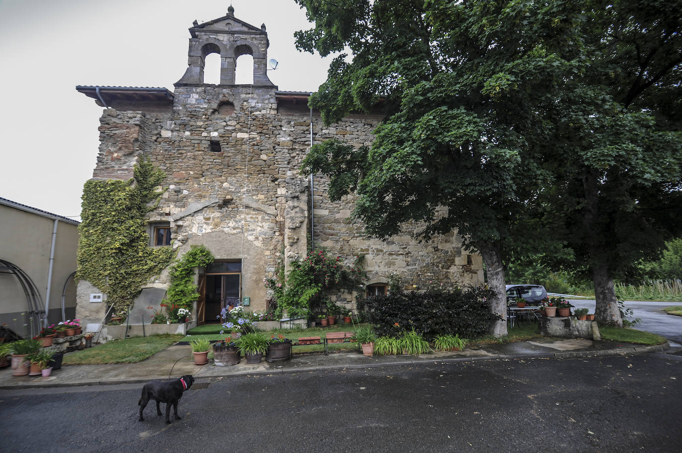 El artista Carlos Marcote eligió la antigua iglesia de Bolívar, un diminuto concejito a las afueras de Vitoria, para vivir y crear bajo una bóveda de crucería