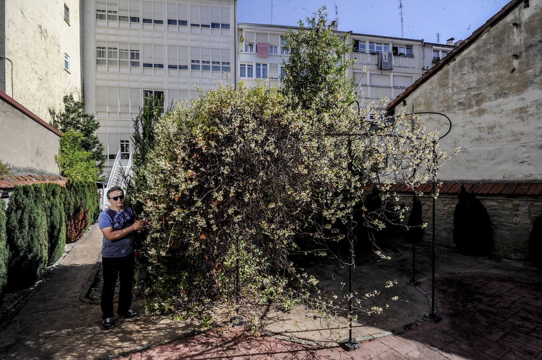Fotos: Patios secretos del Ensanche de Vitoria