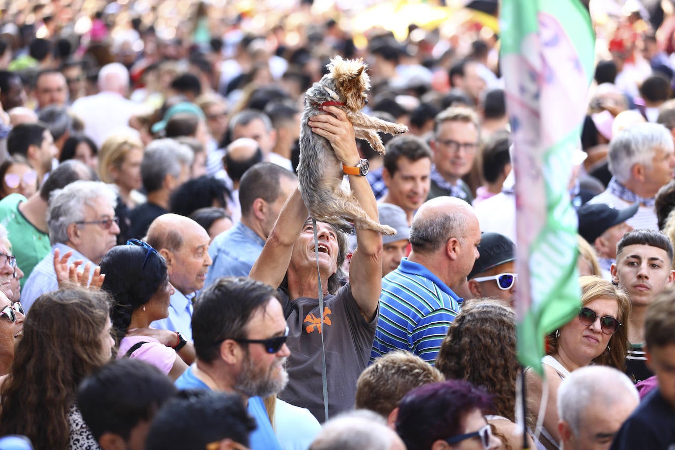 Vitoria ha dado inicio a las fiestas de la Virgen Blanca y una gran multitud de alaveses ha recibido a Celedón.