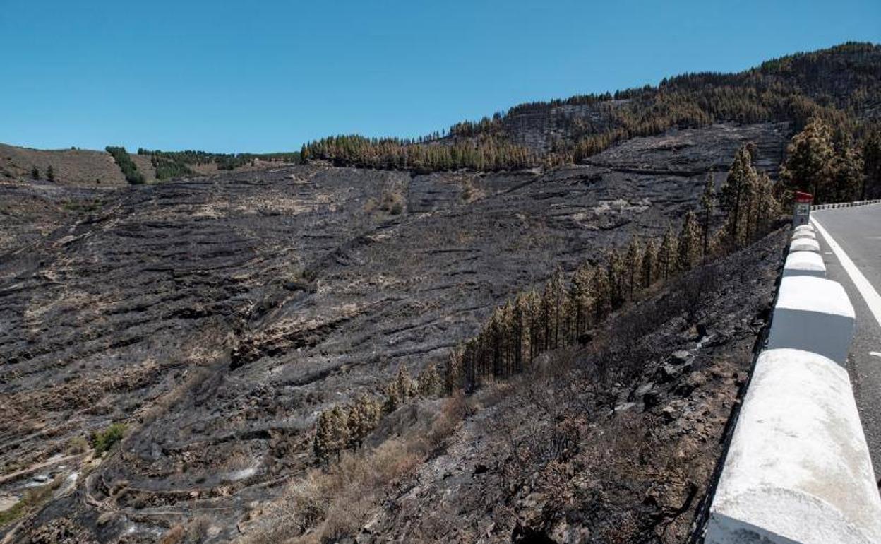 Parte del municipio de Artenara tras el incencio forestal. 