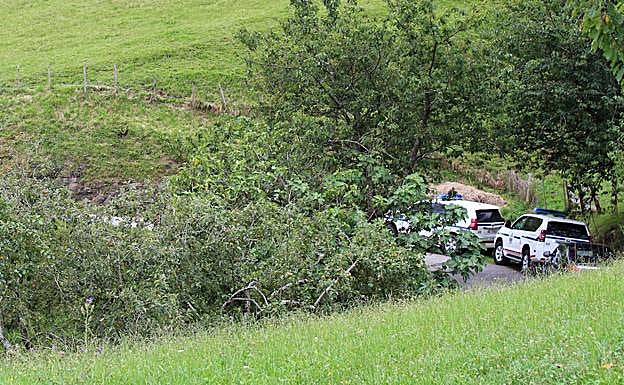 A la izquierda, agentes cubren el cadáver del vecino de Azpeitia embestido por el toro y, a la derecha, patrullas de la Ertzaintza en el barrio de Oñatz. 