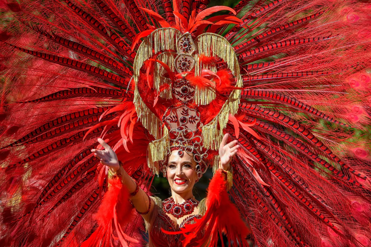 Un miembro del grupo español "Red Passion" (lit. Pasión Roja) participa en la 50 edición del Festival de las Flores de Debrecen (Hungría).