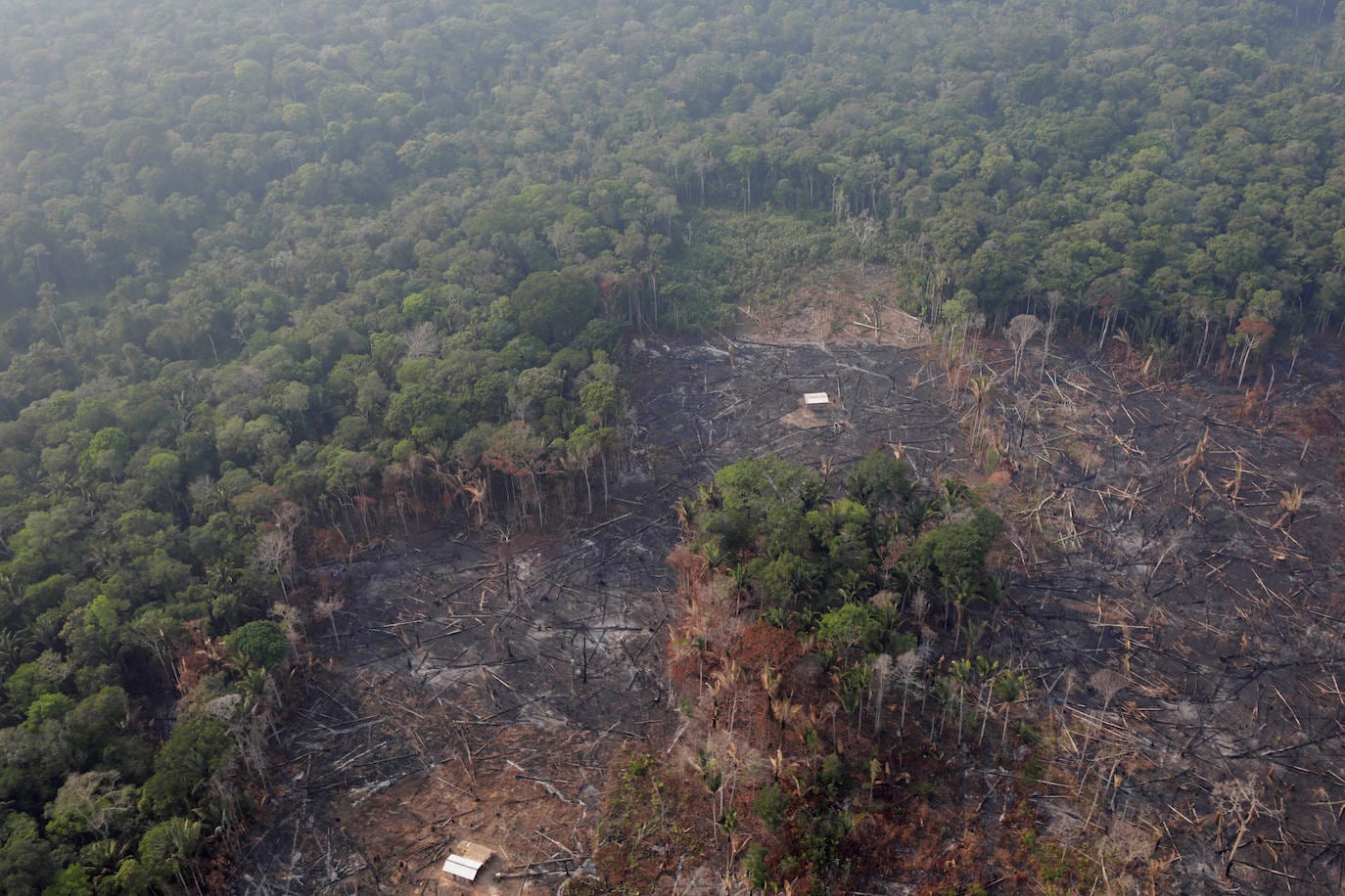 Imagen del incendio en la Amazonia captado por la Nasa.