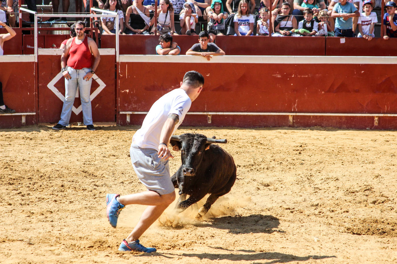 Fotos: Castellers y encierros en el &#039;Día de las morcillas&#039; en las fiestas de Llodio