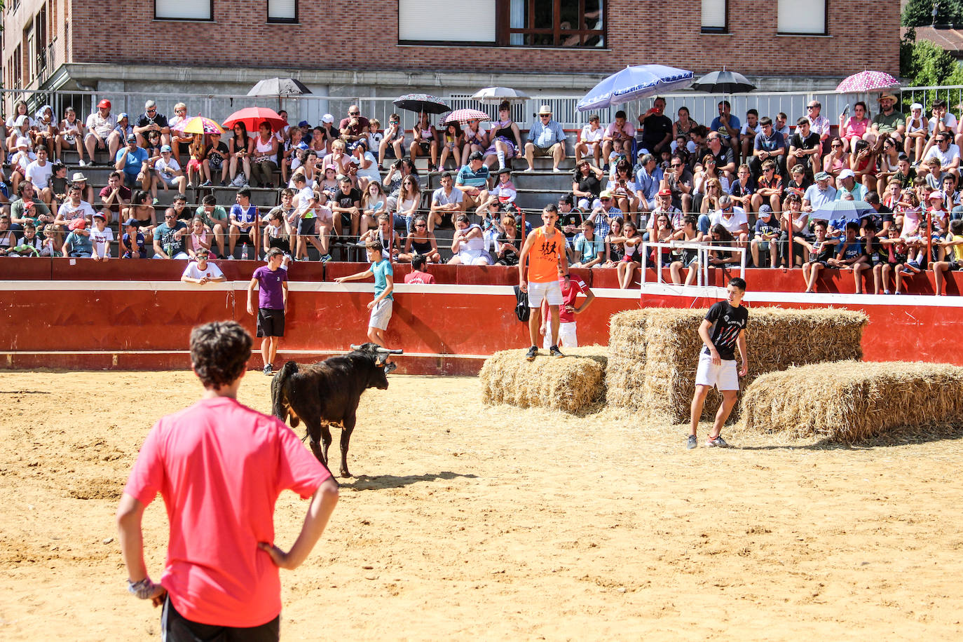 Fotos: Castellers y encierros en el &#039;Día de las morcillas&#039; en las fiestas de Llodio