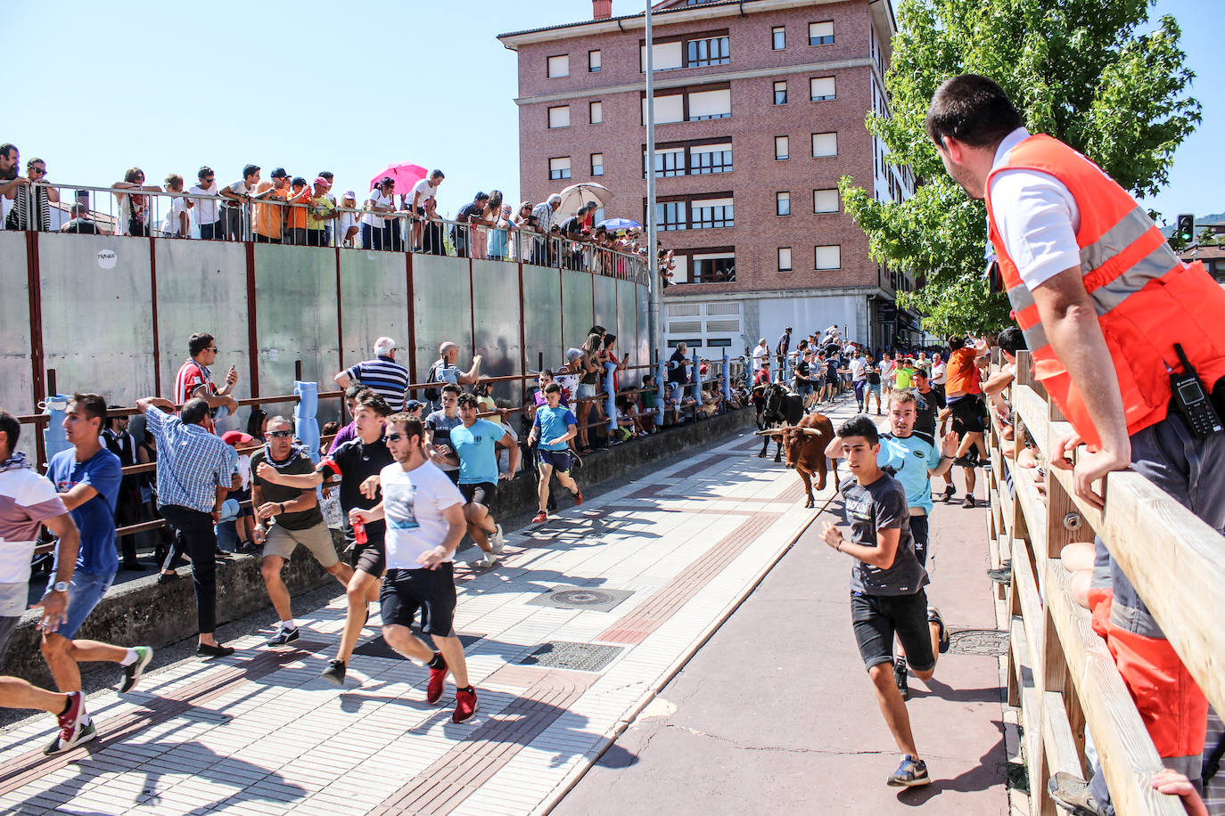 Fotos: Castellers y encierros en el &#039;Día de las morcillas&#039; en las fiestas de Llodio