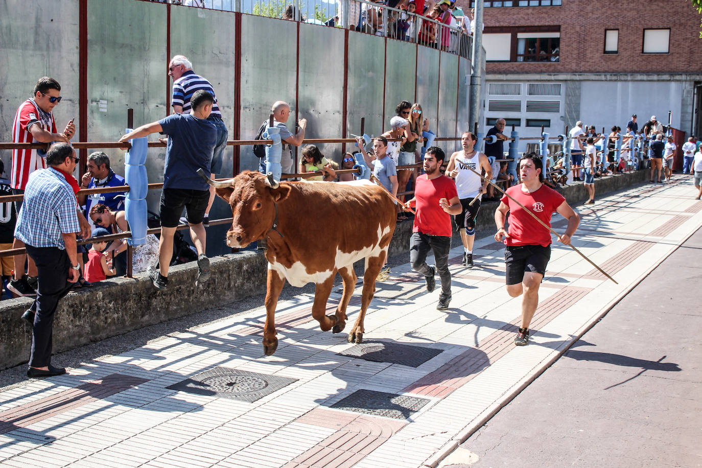 Fotos: Castellers y encierros en el &#039;Día de las morcillas&#039; en las fiestas de Llodio