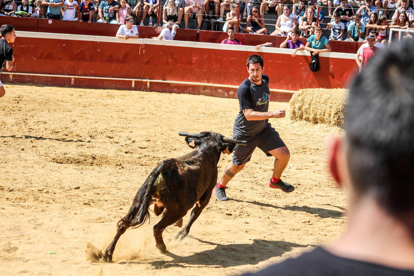 Fotos: Castellers y encierros en el &#039;Día de las morcillas&#039; en las fiestas de Llodio
