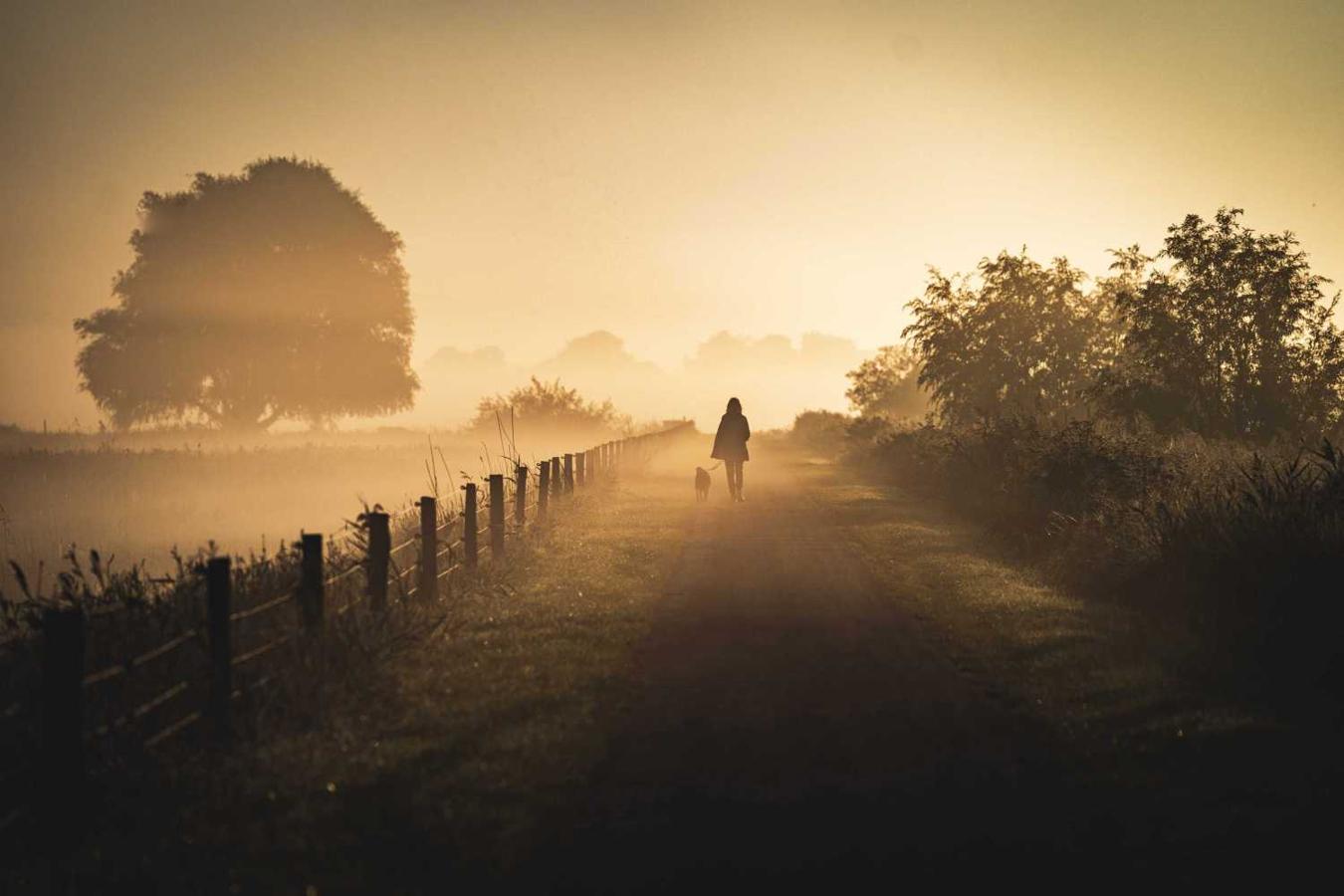 Una mujer y su perro caminan entre la niebla matutina en la ciudad de Groninga, en Holanda