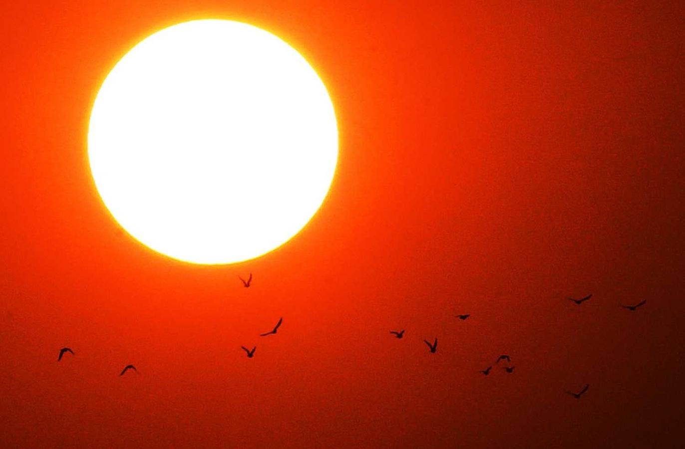 Las palomas vuelan cuando sale el sol sobre la ciudad de Kuwait