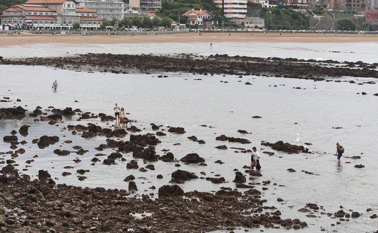 Un grupo de personas pasea por la playa de Ereaga, en plena marea baja.